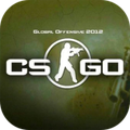 CS:GO 游戏图标